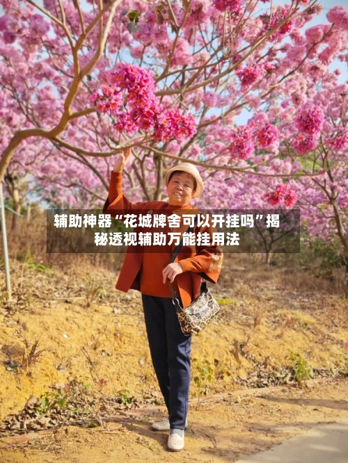 辅助神器“花城牌舍可以开挂吗”揭秘透视辅助万能挂用法-第3张图片