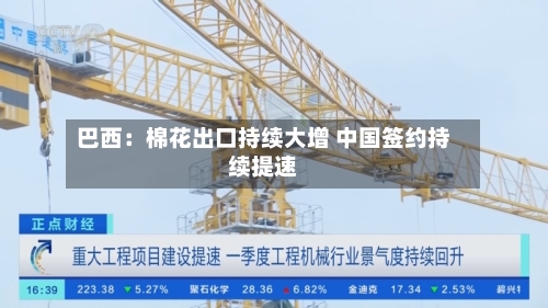 巴西：棉花出口持续大增 中国签约持续提速-第1张图片