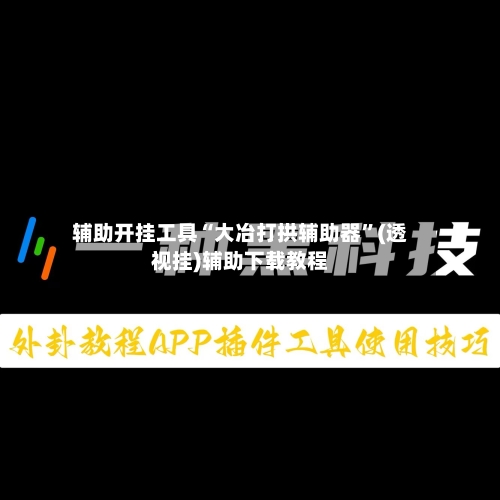 辅助开挂工具“大冶打拱辅助器”(透视挂)辅助下载教程-第1张图片
