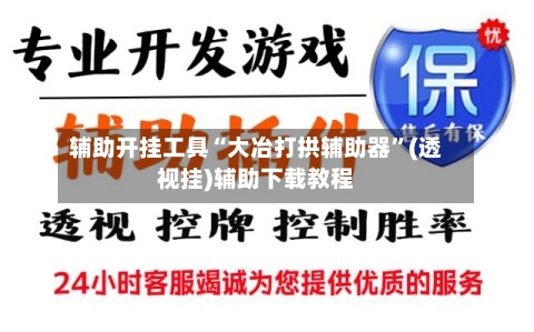辅助开挂工具“大冶打拱辅助器	”(透视挂)辅助下载教程-第2张图片