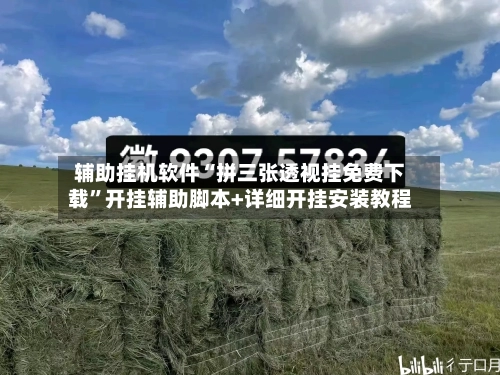 辅助挂机软件“拼三张透视挂免费下载	”开挂辅助脚本+详细开挂安装教程-第1张图片
