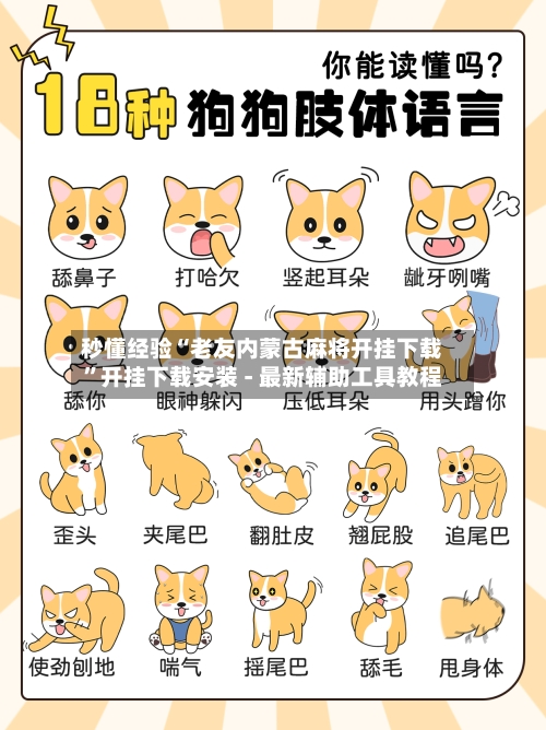 秒懂经验“老友内蒙古麻将开挂下载”开挂下载安装 - 最新辅助工具教程-第1张图片