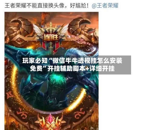 玩家必知“微信牛牛透视挂怎么安装免费	”开挂辅助脚本+详细开挂-第1张图片