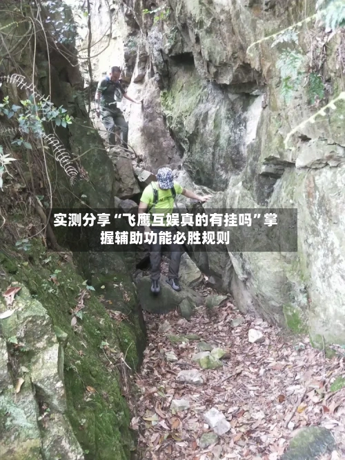 实测分享“飞鹰互娱真的有挂吗”掌握辅助功能必胜规则-第2张图片