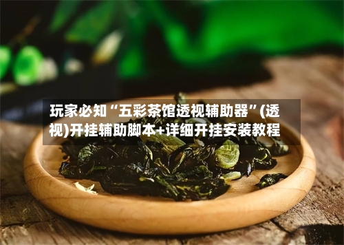 玩家必知“五彩茶馆透视辅助器”(透视)开挂辅助脚本+详细开挂安装教程-第2张图片