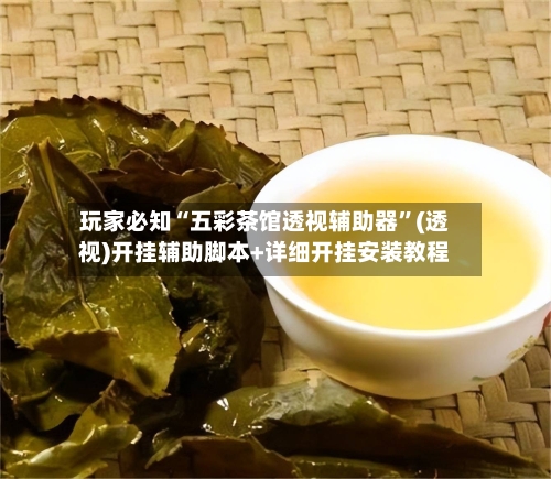 玩家必知“五彩茶馆透视辅助器	”(透视)开挂辅助脚本+详细开挂安装教程-第1张图片