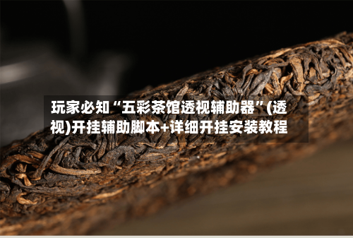 玩家必知“五彩茶馆透视辅助器”(透视)开挂辅助脚本+详细开挂安装教程-第3张图片