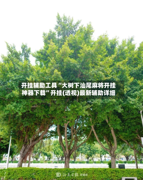 开挂辅助工具“大树下汕尾麻将开挂神器下载	”开挂(透视)最新辅助详细-第1张图片