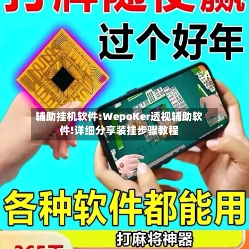辅助挂机软件:WepoKer透视辅助软件!详细分享装挂步骤教程-第2张图片