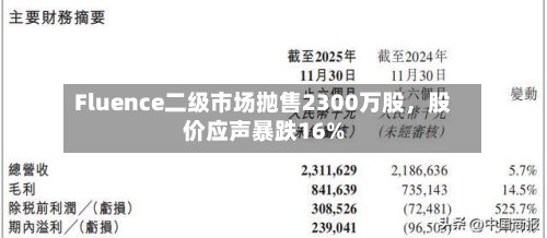 Fluence二级市场抛售2300万股，股价应声暴跌16%-第2张图片