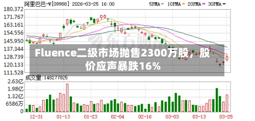 Fluence二级市场抛售2300万股，股价应声暴跌16%-第1张图片