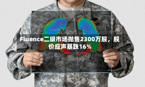 Fluence二级市场抛售2300万股，股价应声暴跌16%-第3张图片