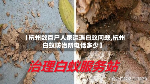 【杭州数百户人家遭遇白蚁问题,杭州白蚁防治所电话多少】-第1张图片