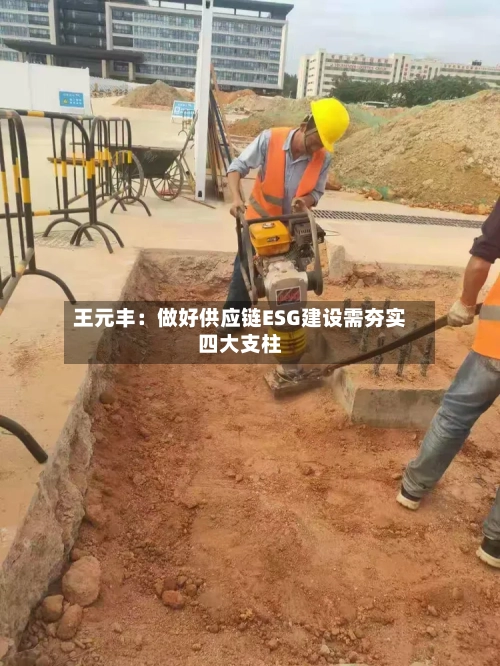 王元丰:做好供应链ESG建设需夯实四大支柱-第1张图片