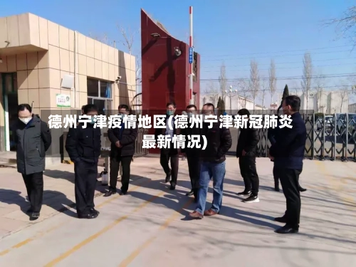 德州宁津疫情地区(德州宁津新冠肺炎最新情况)-第2张图片