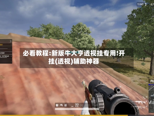 必看教程:新版牛大亨透视挂专用!开挂(透视)辅助神器-第1张图片