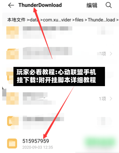 玩家必看教程:心动联盟手机挂下载!附开挂脚本详细教程-第1张图片
