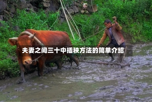 夫妻之间三十中插秧方法的简单介绍-第2张图片