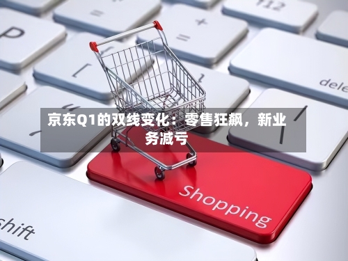 京东Q1的双线变化：零售狂飙，新业务减亏-第2张图片