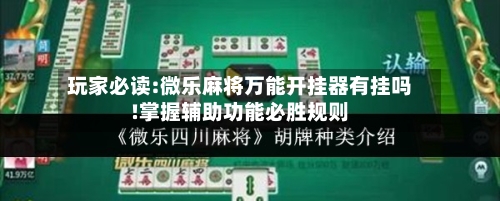 玩家必读:微乐麻将万能开挂器有挂吗!掌握辅助功能必胜规则-第3张图片