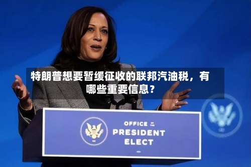 特朗普想要暂缓征收的联邦汽油税，有哪些重要信息？-第2张图片