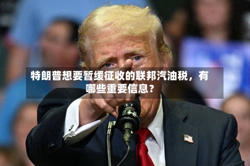特朗普想要暂缓征收的联邦汽油税，有哪些重要信息？-第3张图片