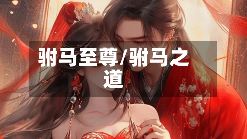 驸马至尊/驸马之道-第1张图片
