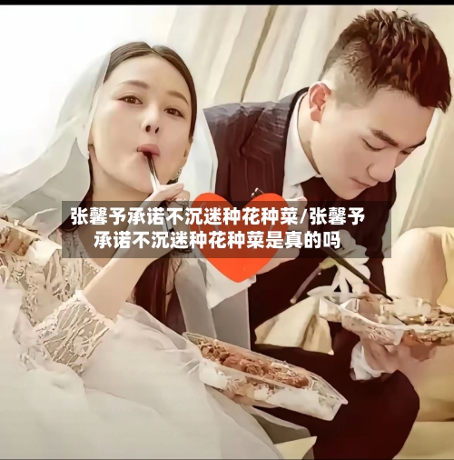 张馨予承诺不沉迷种花种菜/张馨予承诺不沉迷种花种菜是真的吗-第2张图片