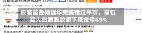 长城基金杨建华完美错过牛市，高位买入白酒股致旗下基金亏49%-第1张图片