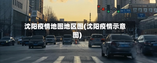 沈阳疫情地图地区图(沈阳疫情示意图)-第2张图片