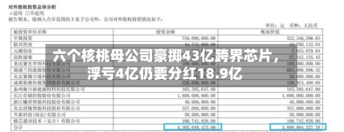 六个核桃母公司豪掷43亿跨界芯片，浮亏4亿仍要分红18.9亿-第1张图片
