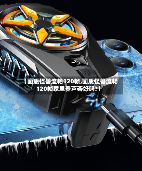 【画质怪兽流畅120帧,画质怪兽流畅120帧家里养芦荟好吗?】-第1张图片
