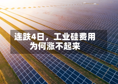 连跌4日	，工业硅费用为何涨不起来-第1张图片