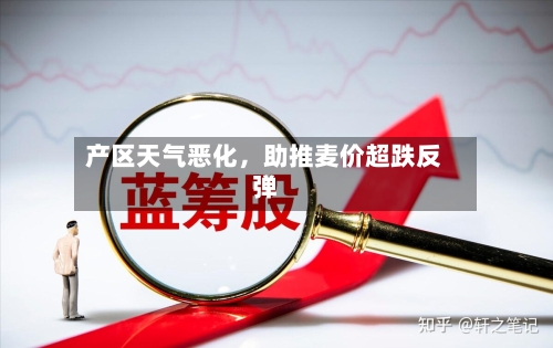 产区天气恶化	，助推麦价超跌反弹-第1张图片