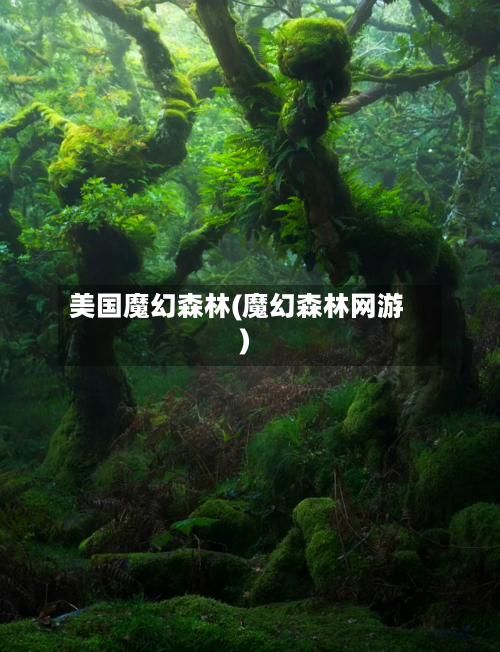 美国魔幻森林(魔幻森林网游)-第3张图片