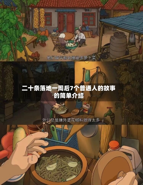 二十条落地一周后7个普通人的故事的简单介绍-第1张图片