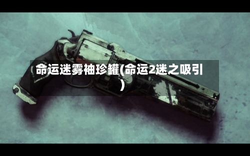 命运迷雾袖珍罐(命运2迷之吸引)-第1张图片