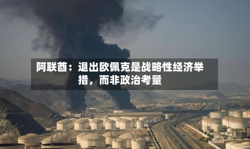 阿联酋：退出欧佩克是战略性经济举措	，而非政治考量-第2张图片