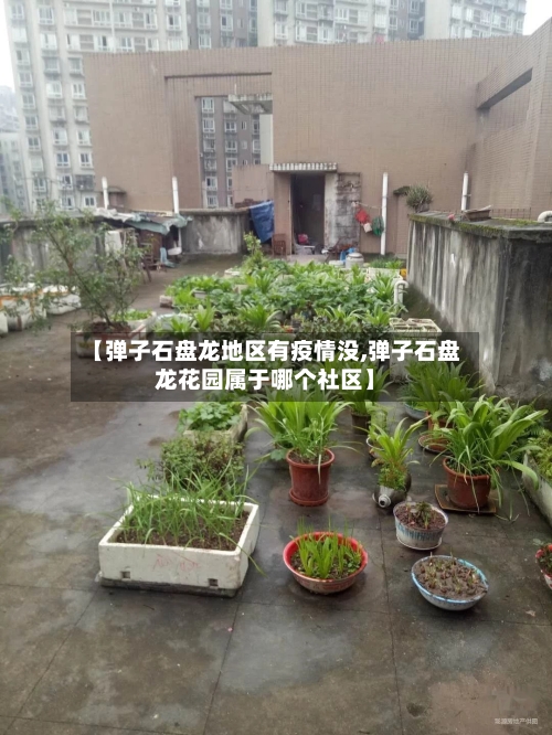 【弹子石盘龙地区有疫情没,弹子石盘龙花园属于哪个社区】-第1张图片