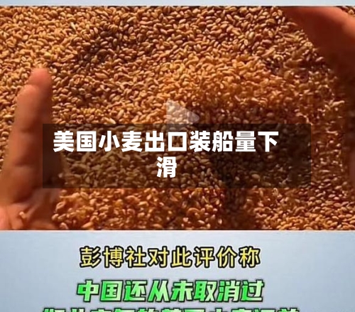 美国小麦出口装船量下滑-第3张图片