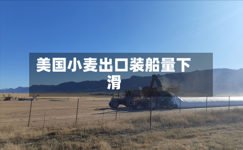 美国小麦出口装船量下滑-第2张图片