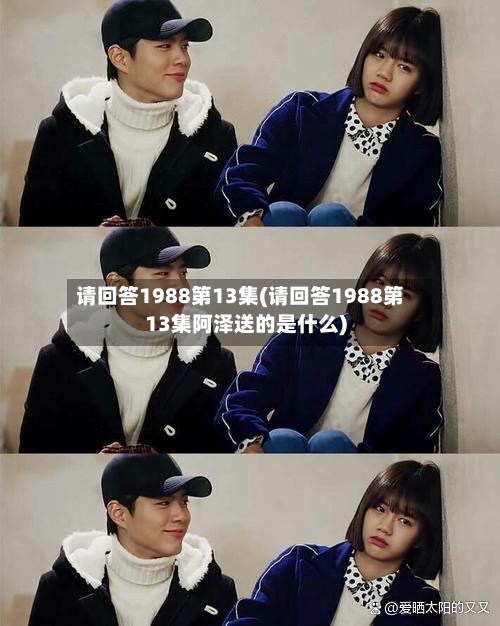 请回答1988第13集(请回答1988第13集阿泽送的是什么)-第3张图片