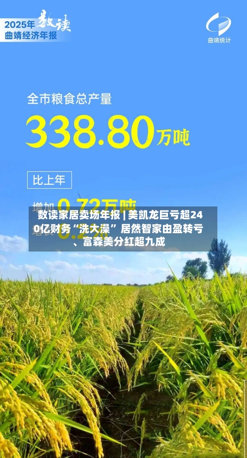 数读家居卖场年报 | 美凯龙巨亏超240亿财务“洗大澡	” 居然智家由盈转亏、富森美分红超九成-第1张图片