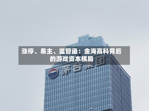 涨停、易主	、监管函：金海高科背后的游戏资本棋局-第2张图片