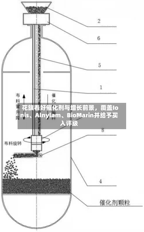 花旗看好催化剂与增长前景，覆盖Ionis	、Alnylam、BioMarin并给予买入评级-第1张图片