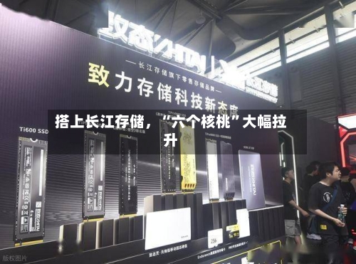 搭上长江存储，“六个核桃	”大幅拉升-第1张图片