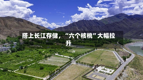 搭上长江存储，“六个核桃”大幅拉升-第3张图片