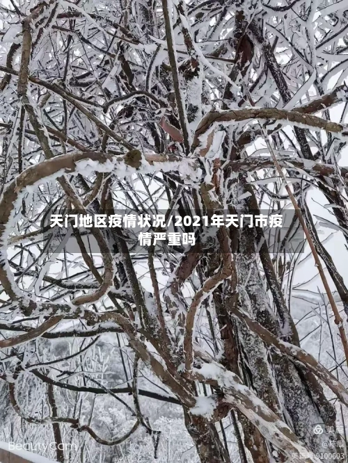 天门地区疫情状况/2021年天门市疫情严重吗-第1张图片