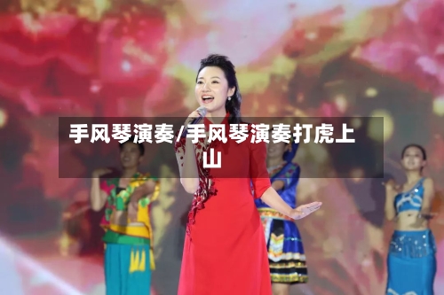 手风琴演奏/手风琴演奏打虎上山-第2张图片