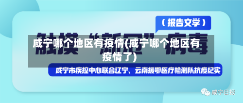 咸宁哪个地区有疫情(咸宁哪个地区有疫情了)-第1张图片